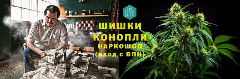 hydra онион  где продают наркотики  Шуя  Марихуана планчик 